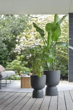 Elho Pure Coupe 35 - Bloempot Voor Binnen & Buiten - Ø 34.9 X H 49.0 Cm - Zwart/Zwart -Tuinverzorgings Winkel 800x1200 161