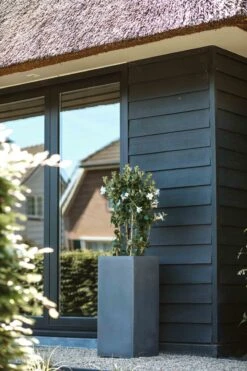 Capi Europe - Bloempot Rechthoek Smooth NL - 36x36x79 - Zwart - Voor Binnen En Buiten - KBL952 5 Capi Europe - Bloempot Rechthoek Smooth NL - 36x36x79 - Zwart - Voor Binnen En Buiten - KBL952 -Tuinverzorgings Winkel 800x1200 162