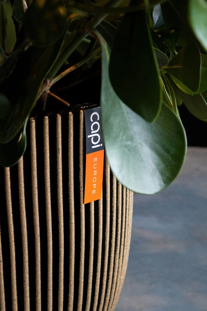 Capi Europe - Bloempot bol Groove NL - 35x34 - Goud - Voor binnen en buiten - KGVGB932 Capi Europe - Bloempot Bol Groove NL - 35x34 - Goud - Voor Binnen En Buiten - KGVGB932 -Tuinverzorgings Winkel 800x1200 163