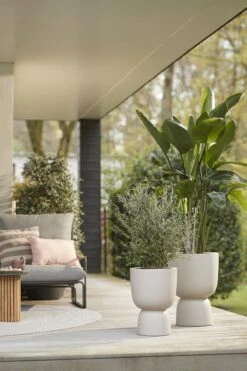 Elho Pure Coupe 35 - Bloempot Voor Binnen & Buiten - Ø 34.9 X H 49.0 Cm - Beige/Balanced Beige -Tuinverzorgings Winkel 800x1200 171