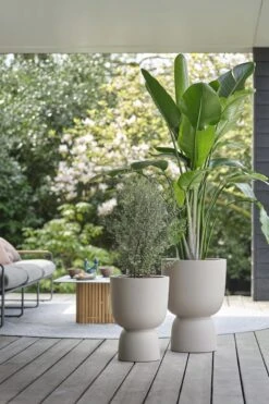 Elho Pure Coupe 35 - Bloempot Voor Binnen & Buiten - Ø 34.9 X H 49.0 Cm - Beige/Balanced Beige -Tuinverzorgings Winkel 800x1200 172