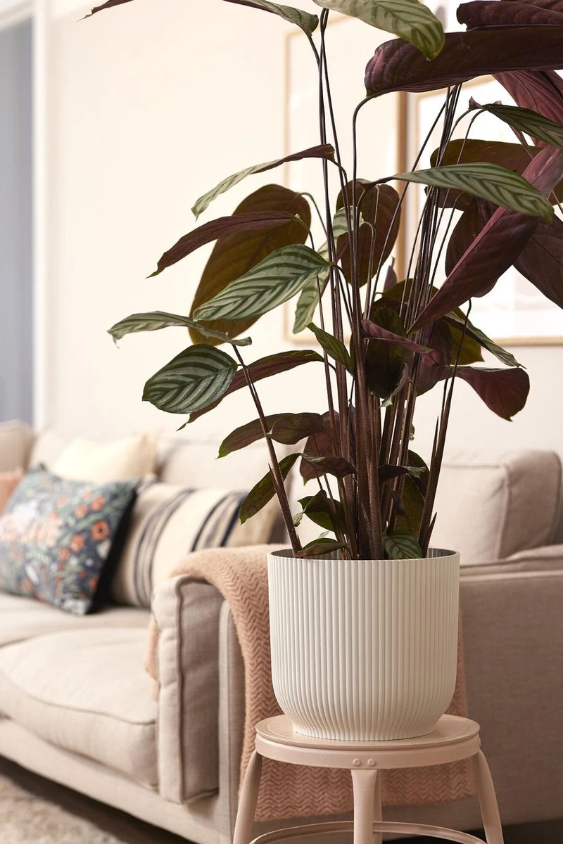 Elho Vibes Fold Rond Wielen 35 - Bloempot voor Binnen - Ø 34.9 x H 32.4 cm - Zijdewit Elho Vibes Fold Rond Wielen 35 - Bloempot Voor Binnen - Ø 34.9 X H 32.4 Cm - Zijdewit -Tuinverzorgings Winkel 800x1200 174