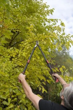 Kreator KRTGR4003 Telescopische Takkenschaar – Jong Hout - Knipdiameter: Ø34 Mm -Tuinverzorgings Winkel 800x1200 26