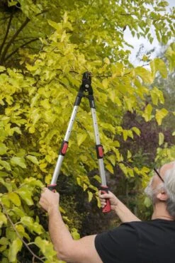 Kreator KRTGR4013 Telescopische Takkenschaar - 63-89 Cm Totale Lengte - . Ø39 Mm Knipdiameter -Tuinverzorgings Winkel 800x1200 27