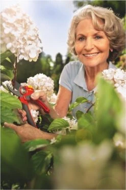 WOLF-Garten Snoeischaar "Premium Plus" RR 4000 - Max. Knipdiameter 22 Mm - Links- En Rechtshandige - Softinleg Handgreep - Snijhoek 30° - Voor Grote Handen - Vervangbare Messen -Tuinverzorgings Winkel 800x1200 28