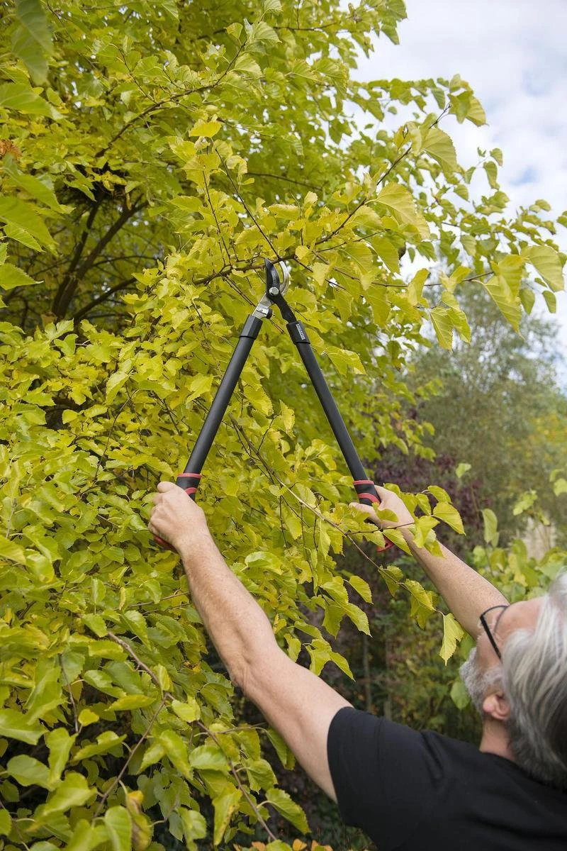 Kreator KRTGR4001 Takkenschaar - 650mm Kreator KRTGR4001 Takkenschaar - 650mm -Tuinverzorgings Winkel 800x1200 30