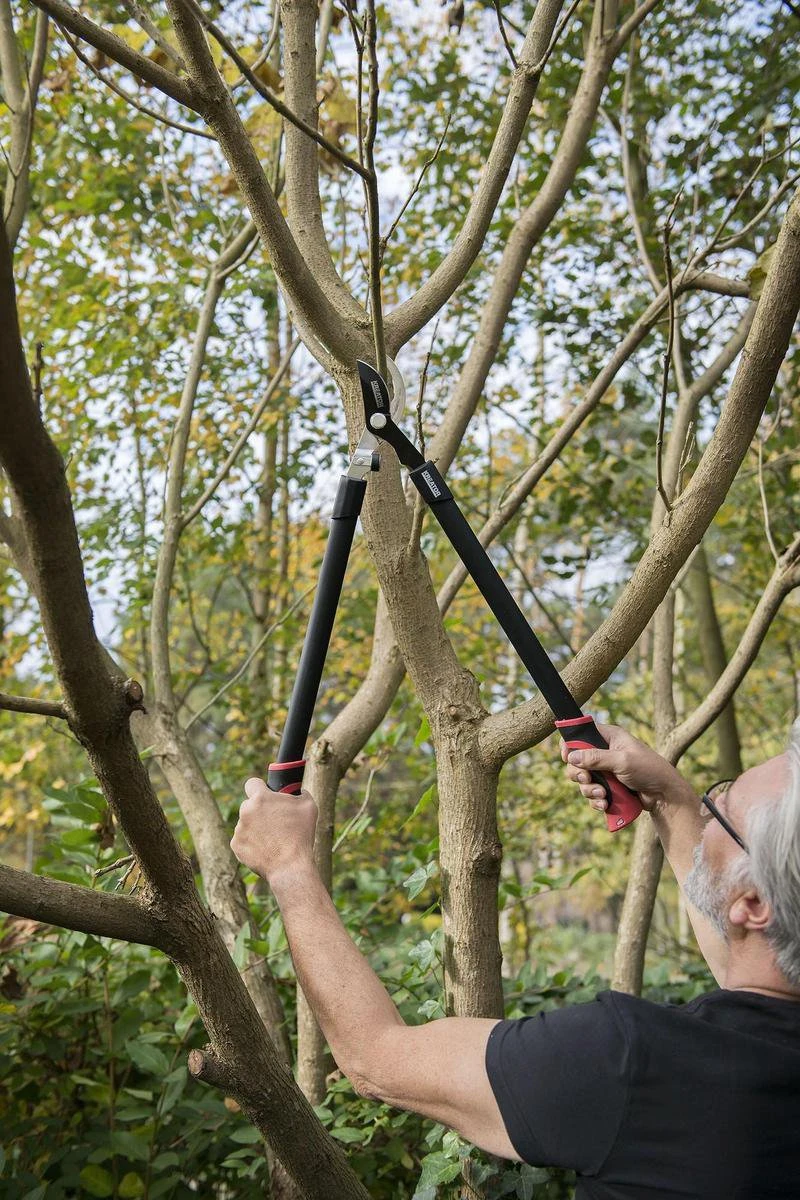 Kreator KRTGR4001 Takkenschaar - 650mm Kreator KRTGR4001 Takkenschaar - 650mm -Tuinverzorgings Winkel 800x1200 31