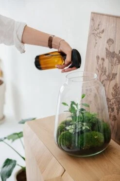 24DOTS Living Plantenspuit | 500 Ml Bruin Amber Glas | Plantensproeier | Plantenspuit Binnen | Waterverstuiver | Vernevelaar -Tuinverzorgings Winkel 800x1200 64