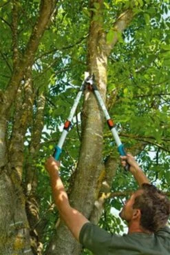 Gardena TeleCut Takkenschaar 650-900 B - Uitschuifbare Armen - Tot Max 90 Cm -Tuinverzorgings Winkel 801x1200 1