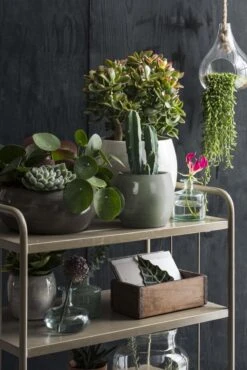 Mica Decorations Lester Bloempot - H31 X Ø33 Cm - Terracotta - Groen -Tuinverzorgings Winkel 801x1200 23