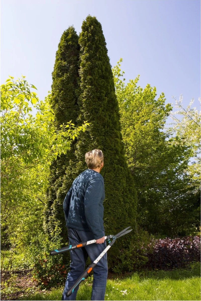 GARDENA TeleCut Heggenschaar - Telescopische handgrepen van 70-90 cm GARDENA TeleCut Heggenschaar - Telescopische Handgrepen Van 70-90 Cm -Tuinverzorgings Winkel 801x1200 4