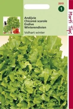 Hortitops Zaden - Andijvie Breedblad Volhart Winter -Tuinverzorgings Winkel 808x1200 1