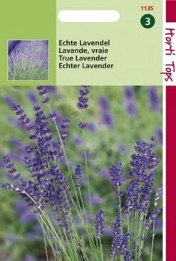 Hortitops - Echte Lavendel - Lavandula Officinalis -Tuinverzorgings Winkel 808x1200 19
