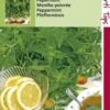 Hortitops Zaden - Pepermunt -Tuinverzorgings Winkel 808x1200 21
