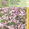 Vergeet-Me-Nietje Bloemzaad - Myosotis Alpestris Victoria - Rose -Tuinverzorgings Winkel 808x1200 24