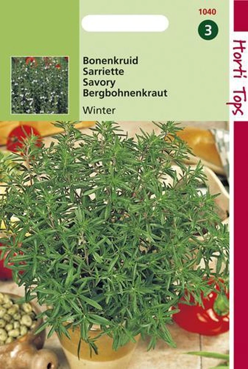 Hortitops Zaden - Bonenkruid Overblijvende Hortitops Zaden - Bonenkruid Overblijvende -Tuinverzorgings Winkel 808x1200 3