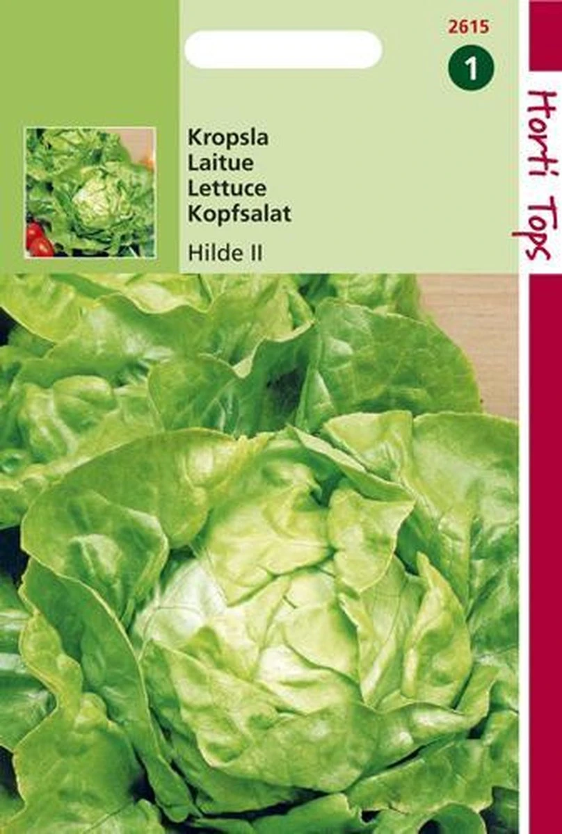 Hortitops Zaden - Kropsla Hilde, Verb. Attractie Hortitops Zaden - Kropsla Hilde, Verb. Attractie -Tuinverzorgings Winkel 808x1200 6