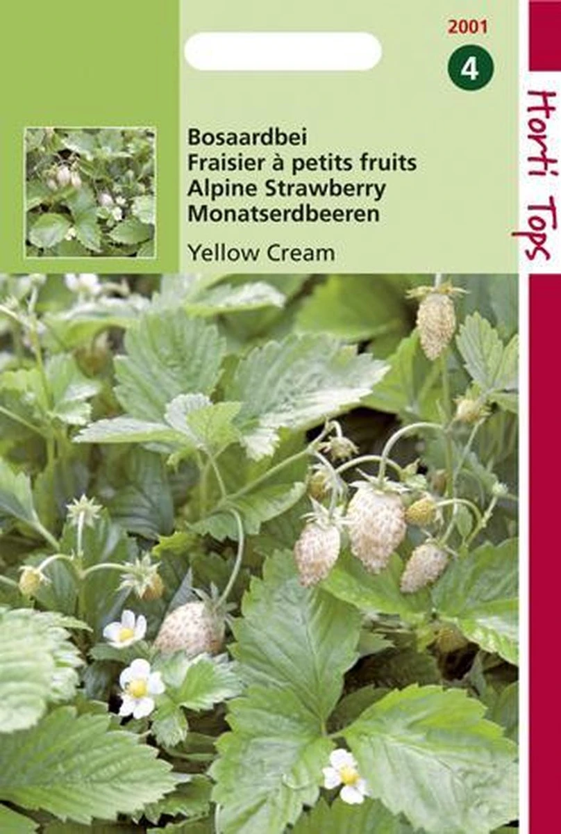 Hortitops Zaden - Aardbeien Yellow Cream Hortitops Zaden - Aardbeien Yellow Cream -Tuinverzorgings Winkel 808x1200 8