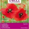Buzzy® Poppies Of The World - Klaproos Rhoeas Rood 1 Buzzy® Poppies Of The World - Klaproos Rhoeas Rood -Tuinverzorgings Winkel 809x1200 3