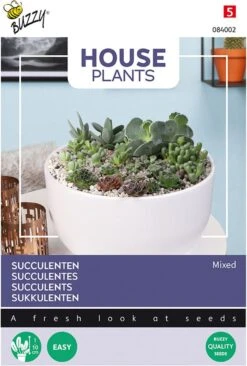 Buzzy House Plants - Kamerplantzaden - Succulenten, Vetplanten - Gemengd