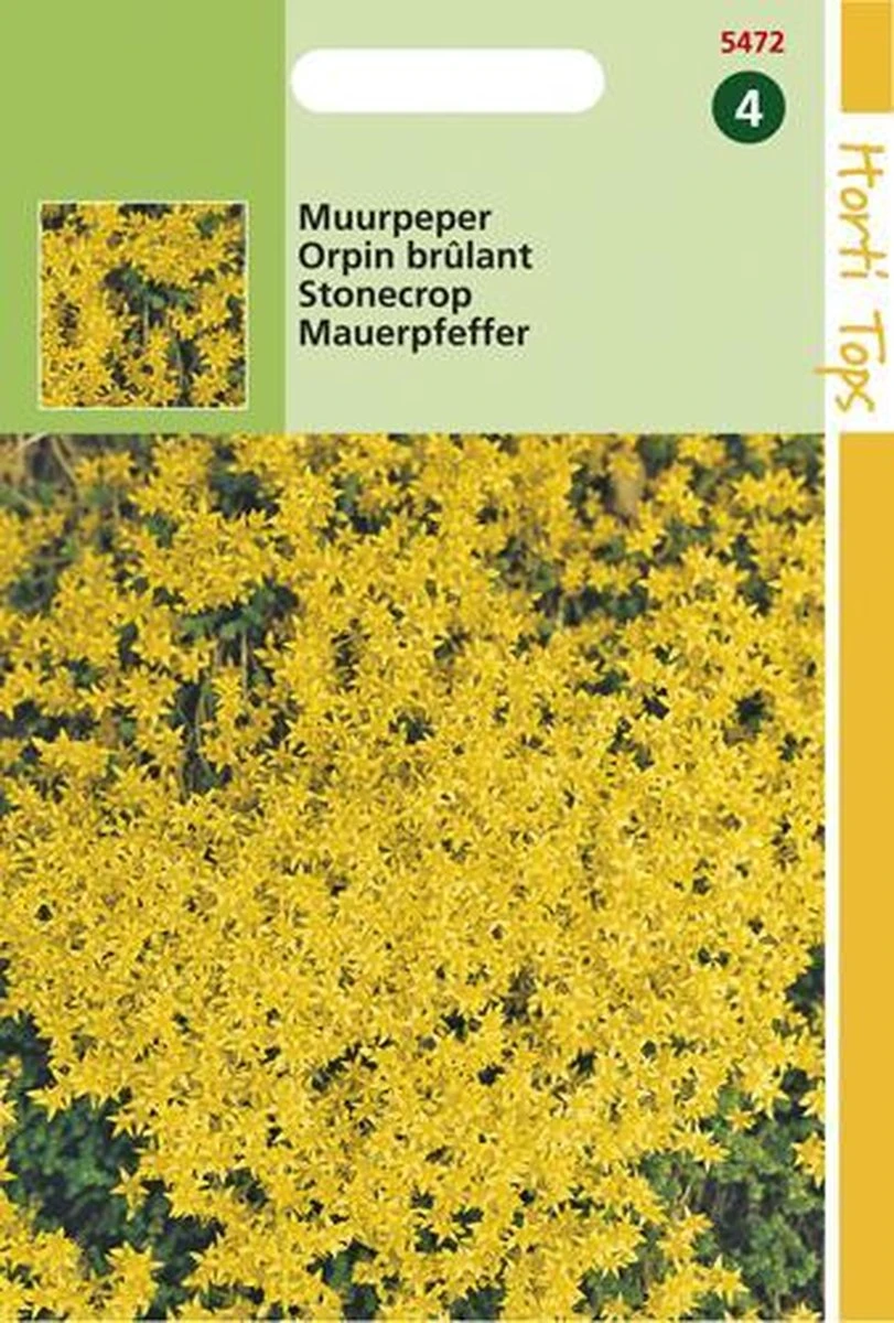 Hortitops zaden - Muurpeper Bloemzaad - Sedum Acre - Geel Hortitops Zaden - Muurpeper Bloemzaad - Sedum Acre - Geel -Tuinverzorgings Winkel 811x1200 6
