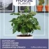 Buzzy® House Plants Coffea Arabica, Koffieplant -Tuinverzorgings Winkel 811x1200 7