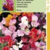 Hortitops Zaden - Lathyrus Odoratus Bijou Gemengd -Tuinverzorgings Winkel 811x1200 9