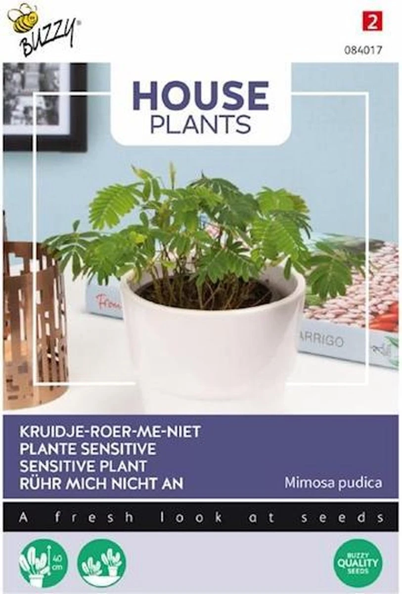 Buzzy® House Plants Mimosa pudica, Kruidje roer me niet Buzzy® House Plants Mimosa Pudica, Kruidje Roer Me Niet -Tuinverzorgings Winkel 813x1200 5
