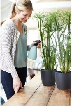 Elho Brussels Sprayer 12 - Plantenspuit Voor Binnen - Ø 11.3 X H 22.3 Cm - Groen/Mint -Tuinverzorgings Winkel 813x1200 6