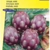 Sluis Garden - Artisjok Violet De Provence -Tuinverzorgings Winkel 815x1200 1