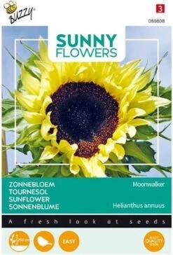 Buzzy® Sunny Flowers, Zonnebloem Moonwalker 4 Buzzy® Sunny Flowers, Zonnebloem Moonwalker -Tuinverzorgings Winkel 815x1200 2