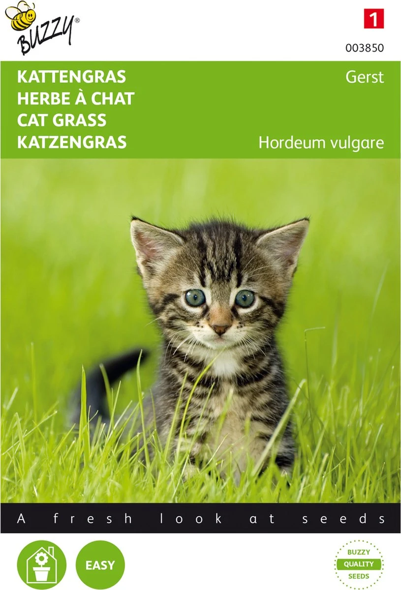 Buzzy zaden - Kattengras Gerst - 10 gram Buzzy Zaden - Kattengras Gerst - 10 Gram -Tuinverzorgings Winkel 815x1200 6