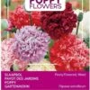 Buzzy® Poppies Of The World - Papaver Pioenbloemig -Tuinverzorgings Winkel 816x1200 4