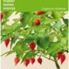Buzzy - Peper Biquinho (Capsicum Chinense) -Tuinverzorgings Winkel 818x1200 2