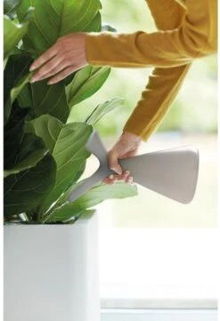 Elho Plunge Gieter 20 - Gieter Voor Binnenaccessoires - Ø 15.0 X H 29.5 Cm - Grijs/Warm Grijs 5 Elho Plunge Gieter 20 - Gieter Voor Binnenaccessoires - Ø 15.0 X H 29.5 Cm - Grijs/Warm Grijs -Tuinverzorgings Winkel 820x1200