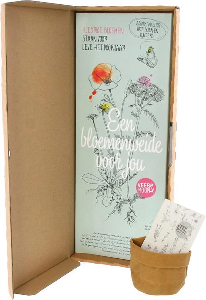 Zaden Bloemenweide | Uniek brievenbus cadeau | BloomPost Zaden Bloemenweide | Uniek Brievenbus Cadeau | BloomPost -Tuinverzorgings Winkel 823x1200 15