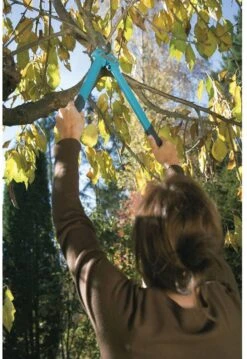 GARDENA Comfort 500 BL Takkenschaar - Max Knipdiameter 35 Mm -Tuinverzorgings Winkel 825x1200 9