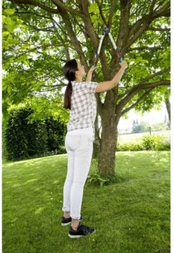 GARDENA - TeleCut Telescopische - Takkenschaar 520-670B - 42 Mm Verstelbare Lengte -Tuinverzorgings Winkel 826x1200 1