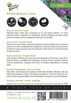 Buzzy® Broccoli Summer Purple 3 Buzzy® Broccoli Summer Purple -Tuinverzorgings Winkel 826x1200 3