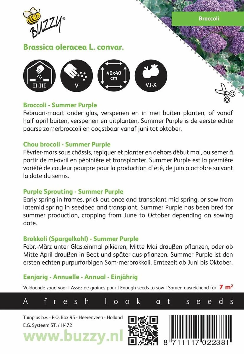Buzzy® Broccoli Summer Purple Buzzy® Broccoli Summer Purple -Tuinverzorgings Winkel 826x1200 3