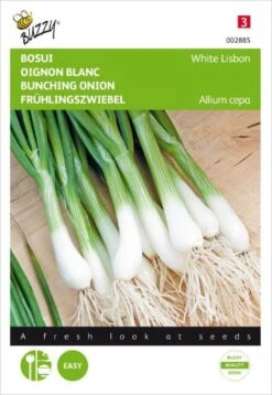 Buzzy Zaden - Bosuien White Lisbon (Allium)