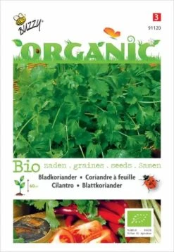 Buzzy® Organic Koriander (BIO) 4 Buzzy® Organic Koriander (BIO) -Tuinverzorgings Winkel 829x1200 31