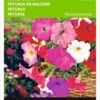 Buzzy Zaden - Hangpetunia - Petunia Pendula
