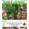 Buzzy® Organic Lathyrus, Reuk- Of Siererwt Painted Lady(BIO)