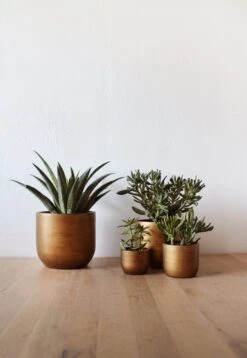 Capi Europe - Set Van 4 - Bloempot Binnen - Retro - - Goud - Bloempot Voor Binnen - BOX-BRTG-4 -Tuinverzorgings Winkel 829x1200 43