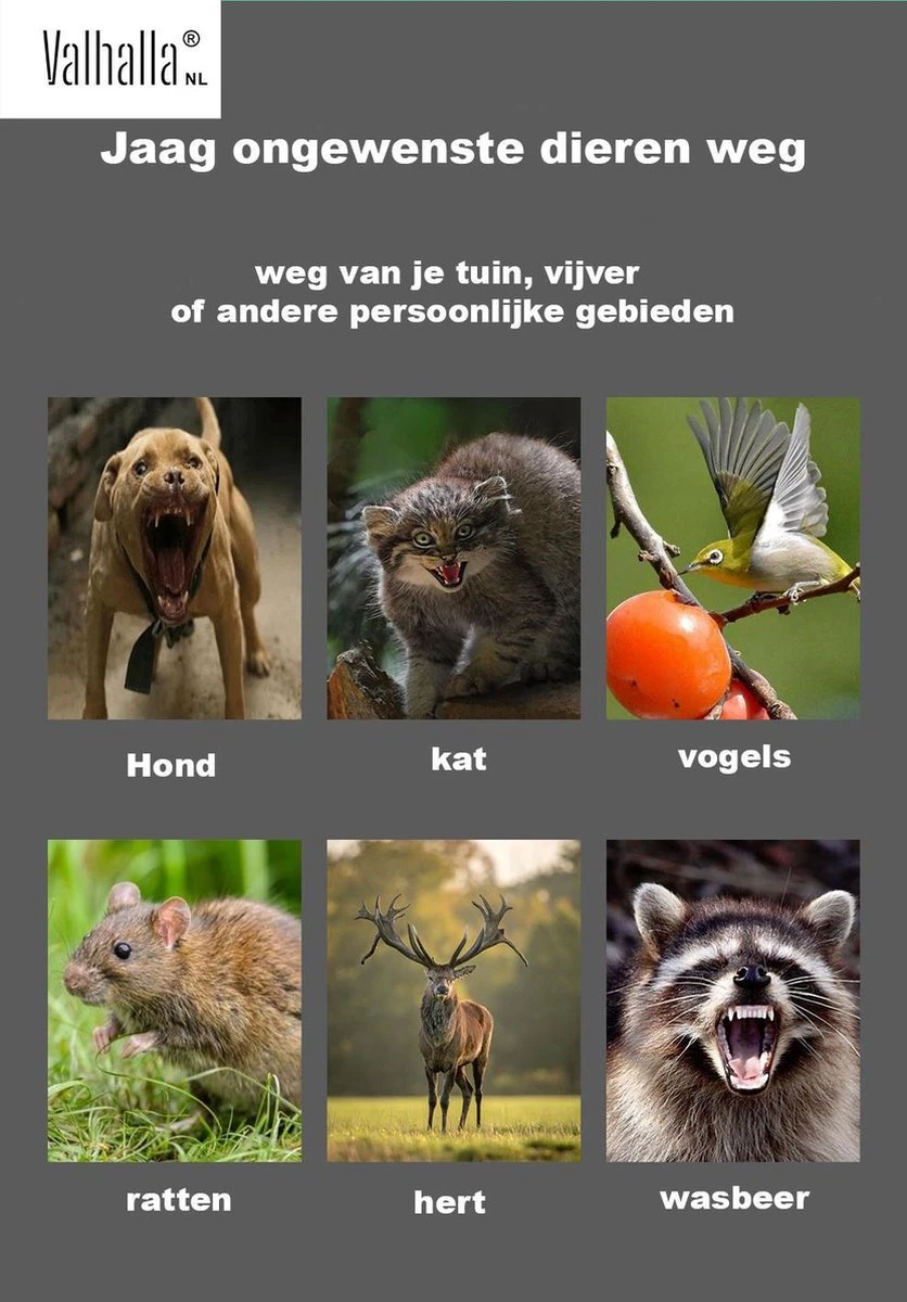 Valhalla NL - Kattenverjager - Ongedierte verjager - Outdoor - Kunststof - Groen - 16x13x11 cm Valhalla NL - Kattenverjager - Ongedierte Verjager - Outdoor - Kunststof - Groen - 16x13x11 Cm -Tuinverzorgings Winkel 836x1200 1