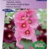 Sluis Garden - Stokroos Antwerp Stars (Alcea Rosea) -Tuinverzorgings Winkel 837x1200 13