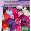 Sluis Garden - Reukerwt Old Sweet Scent Mix (Lathyrus) -Tuinverzorgings Winkel 837x1200 14