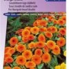 Sluis Garden Goudsbloem Orange Gitana (Calendula Officinalis) -Tuinverzorgings Winkel 837x1200 18