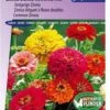 Sluis Garden - Zinnia Dahlia-Bloemige Mix -Tuinverzorgings Winkel 837x1200 19